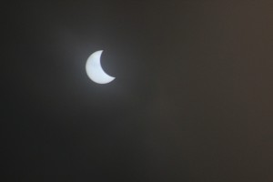 IMG_1292_1260