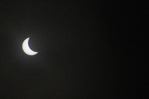 IMG_1295_1260