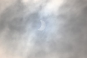 IMG_1322_1260