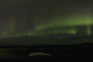 IMG_7772_1260