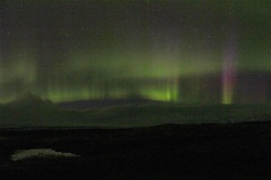 IMG_7775_1260