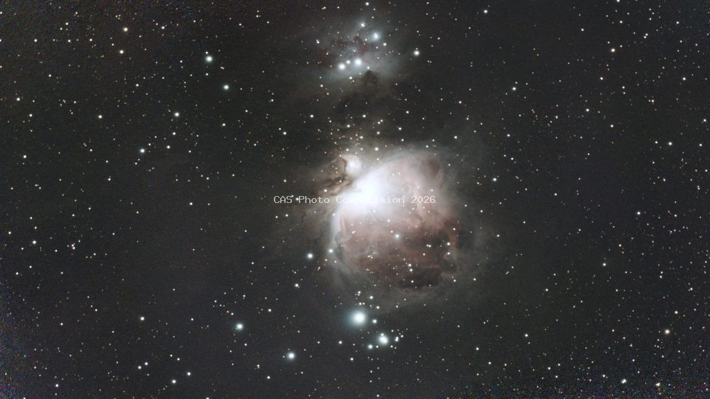Orion Nebula